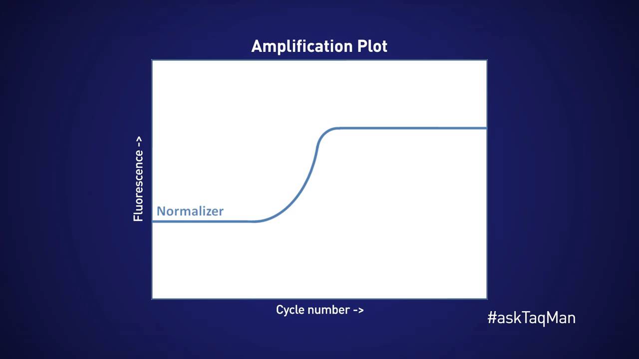 How to Optimize Multiplex qPCR Experiments -- Ask TaqMan® Ep. 18