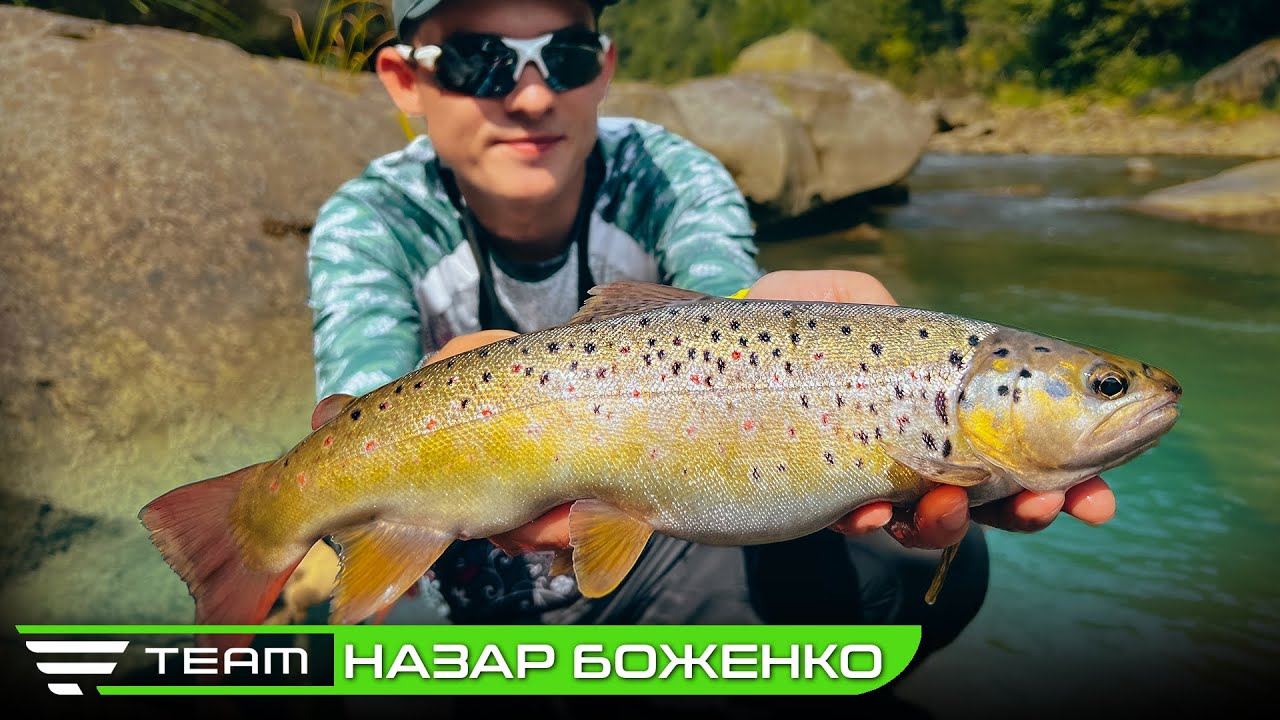 Ловля форелі в гірських річках українських Карпат