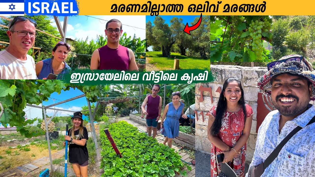 EP #5 - നസ്രത്തിൽ നിന്ന് പ്രതീക്ഷയുടെ ഗ്രാമത്തിലേക്ക് | Lower Galilee, Nazareth | Israel