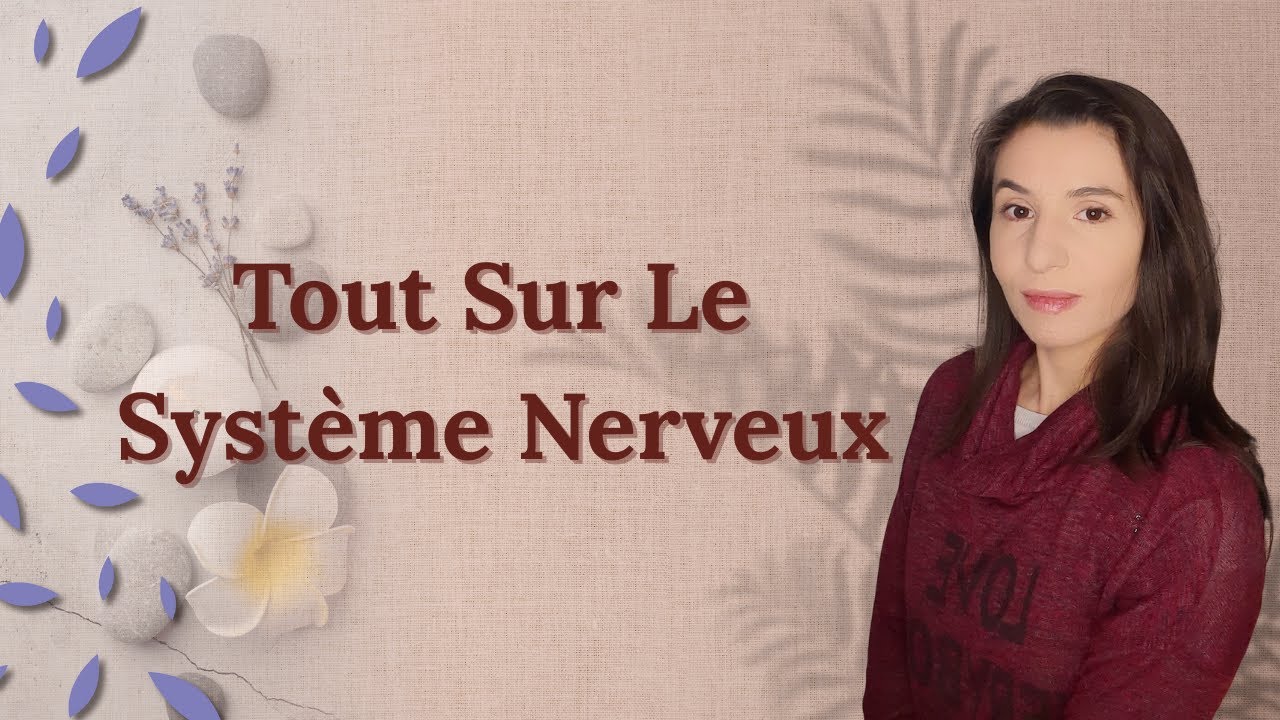 Qu’est-ce que c’est le système nerveux/ comment il fonctionne ?#naturopathie #systèmenerveux