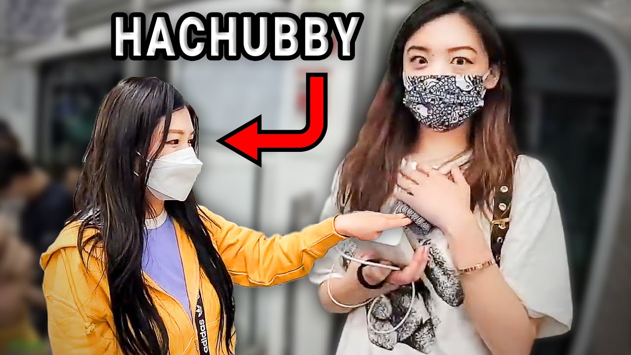 They are the best streamer duo | Seoul Korea w/Fanfan & Hachubby | Twitch Clips & Highlights