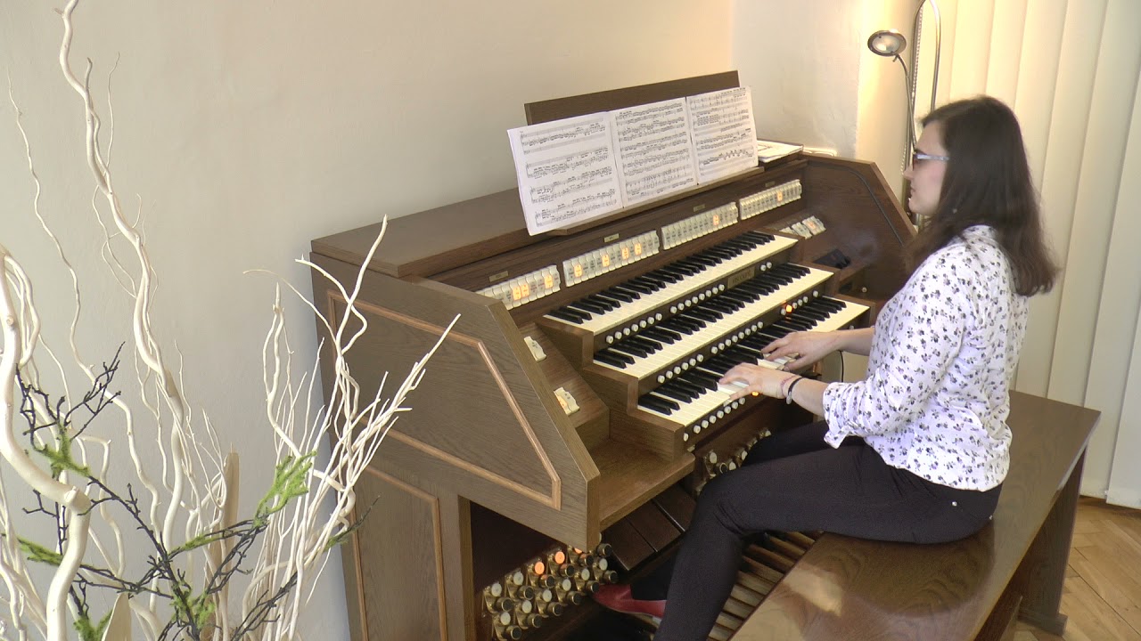 3. místo - Anna Gulová (22 let) - Základní umělecká škola varhanická Brno, Smetanova 14