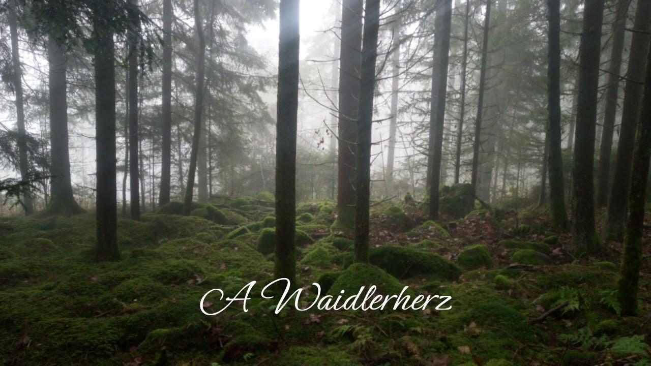 A Waidlerherz -  traditional bavarian Music - Volksmusik Bayern