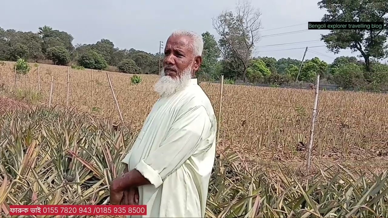 টাকা থাকলে আমি কিনে নিতাম অনেক কম দামে খাগড়াছড়ি এই আনাস বাগানটি ।