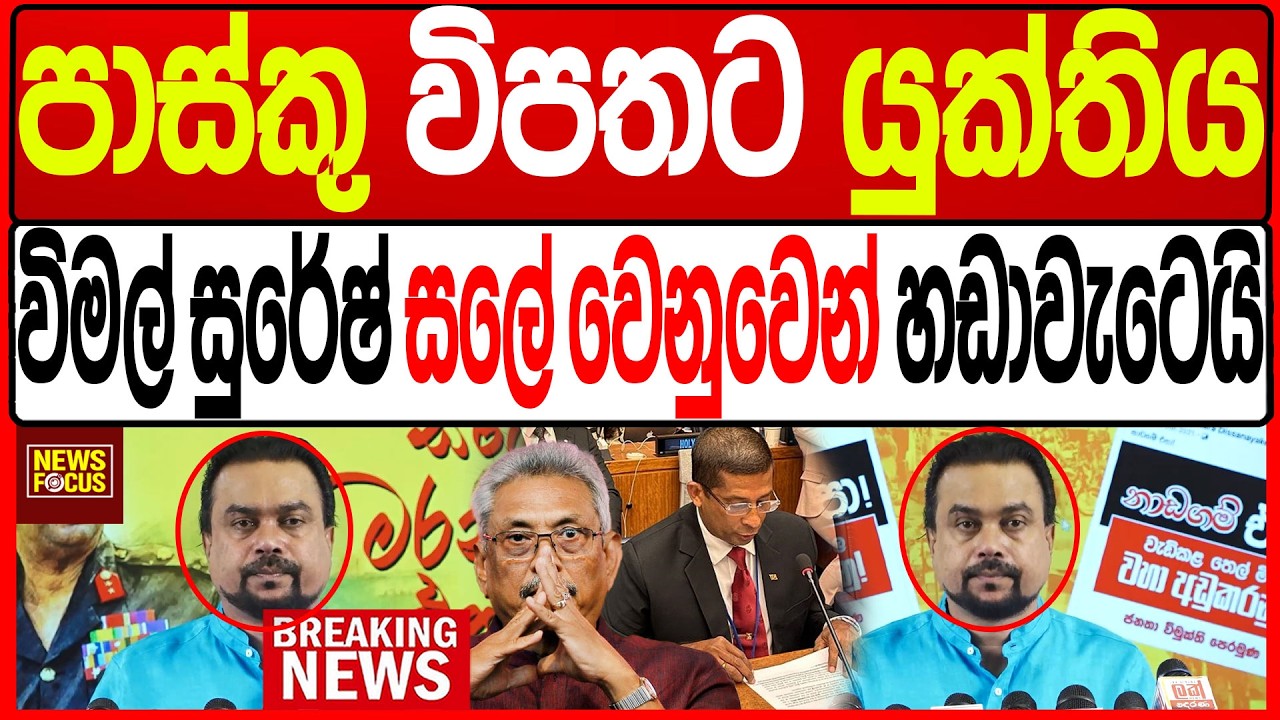 පාස්කු විපතට යුක්තිය විමල් සුරේෂ් සලේ වෙනුවෙන් හඩාවැටෙයි |News Focus