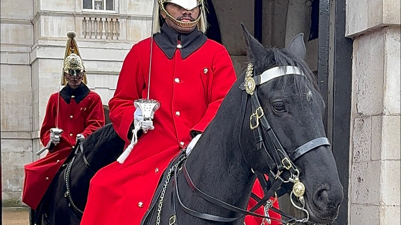 Magnificent Day at Horse Guard London!”