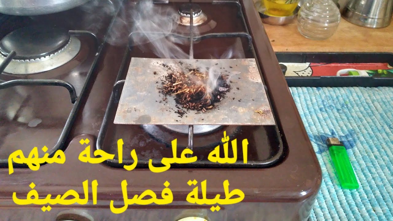حطي الحديدة على النار وأقسم بالله متبقى عندك حتى وحدة كدور فالدار ....حيل وتدابير لفصل الصيف ...