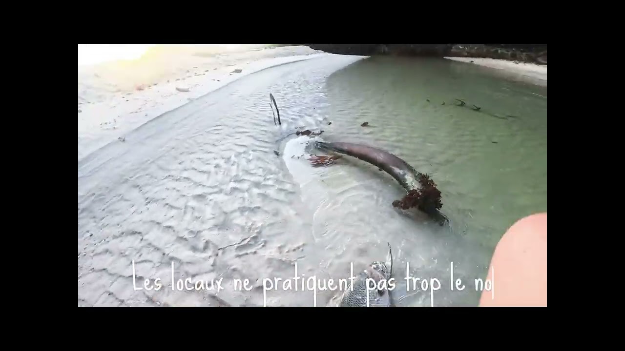 Pêche aux Seychelles épisode 1