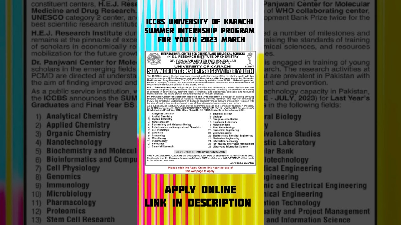 ICCBS University of Karachi Summer Internship Program for Youth 2023 March | #CareerElevationX