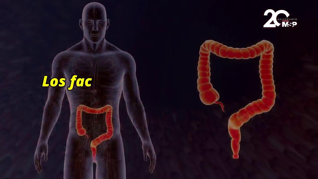 &iquest;C&oacute;mo funciona la flora intestinal y qu&eacute; la puede afectar? - #ExclusivoMSP