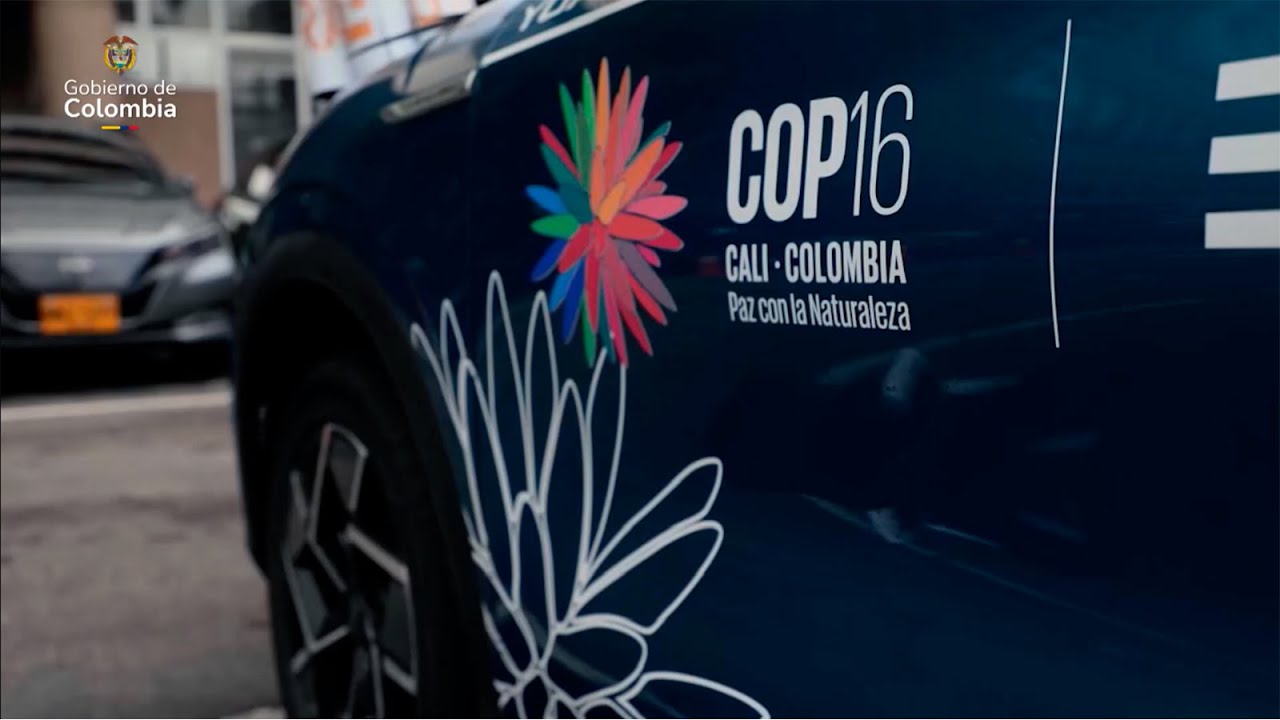 Informativo COP16 - Capítulo 12: Emisión del sábado 26 de octubre, 8 p.m.
