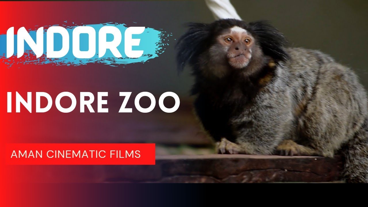 INDORE ZOO | इंदौर का चिड़िया घर | CINEMATIC VIDEO 4K | Indore Zoo Tour | इंदौर | MP | INDIA
