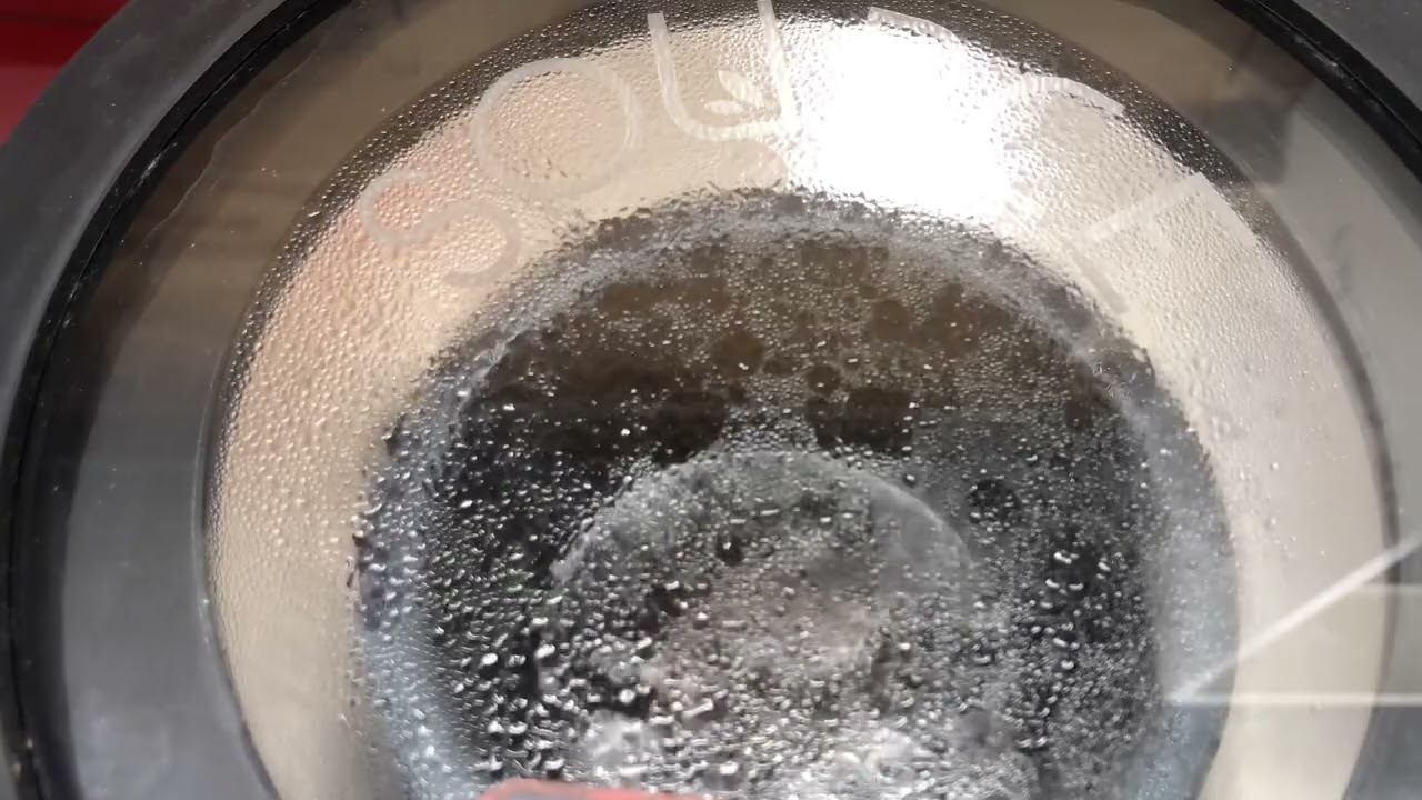 Extraction & winterizing process￼