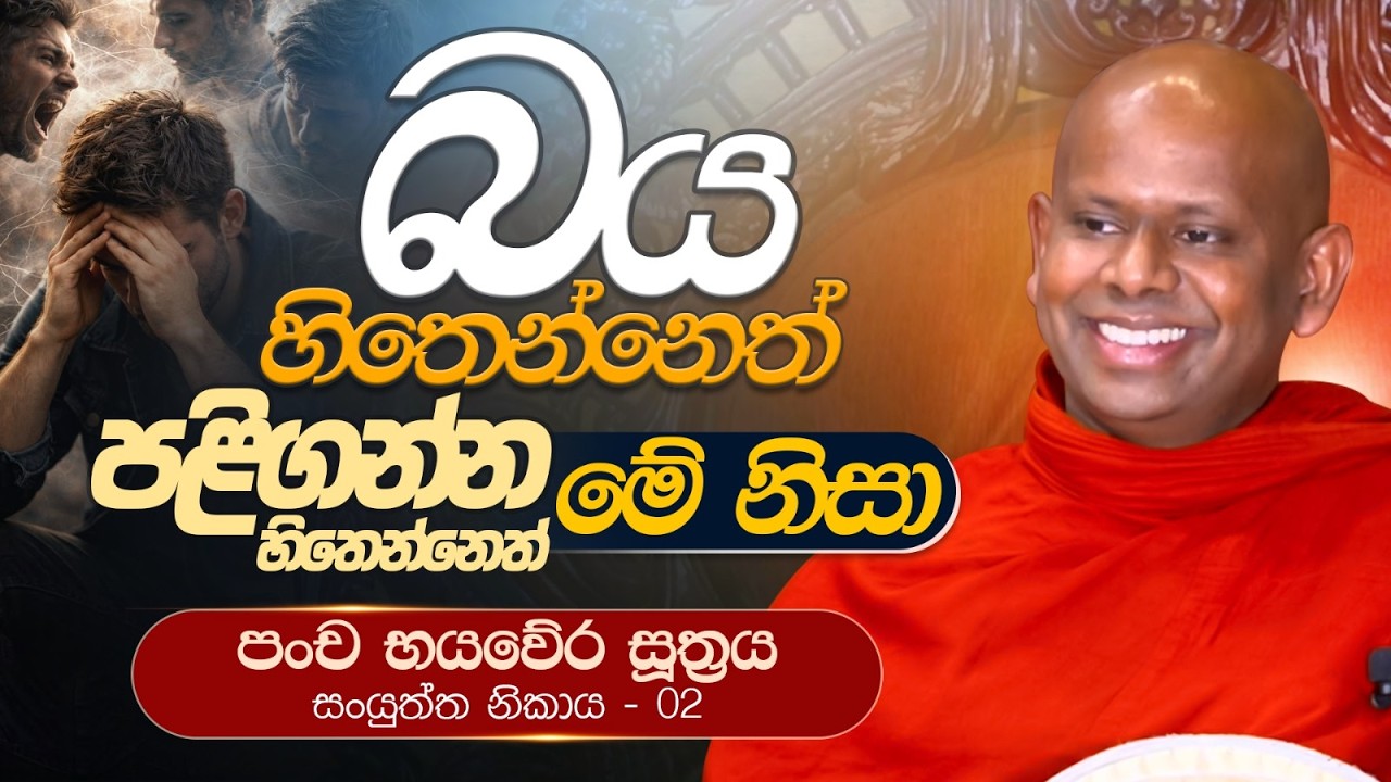 බය හිතෙන්නෙත් පළිගන්න හිතෙන්නෙත් මේ නිසා (පංච භයවේර සූත්&zwj;රය) | Ven. Welimada Saddaseela Thero