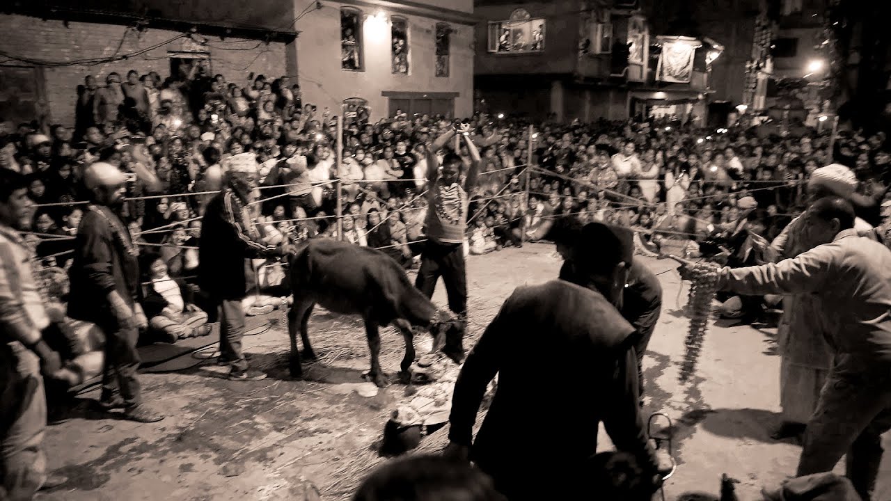 Pharping Jatra Full Video | Hari Sankhar Jatra Mul Jatra | 2080