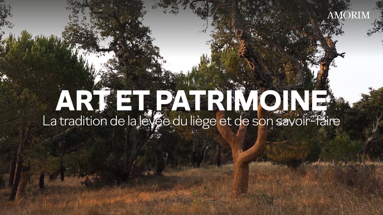 Art et Patrimoine - La tradition de la levée du liège et de son savoir-faire (PT/FR)