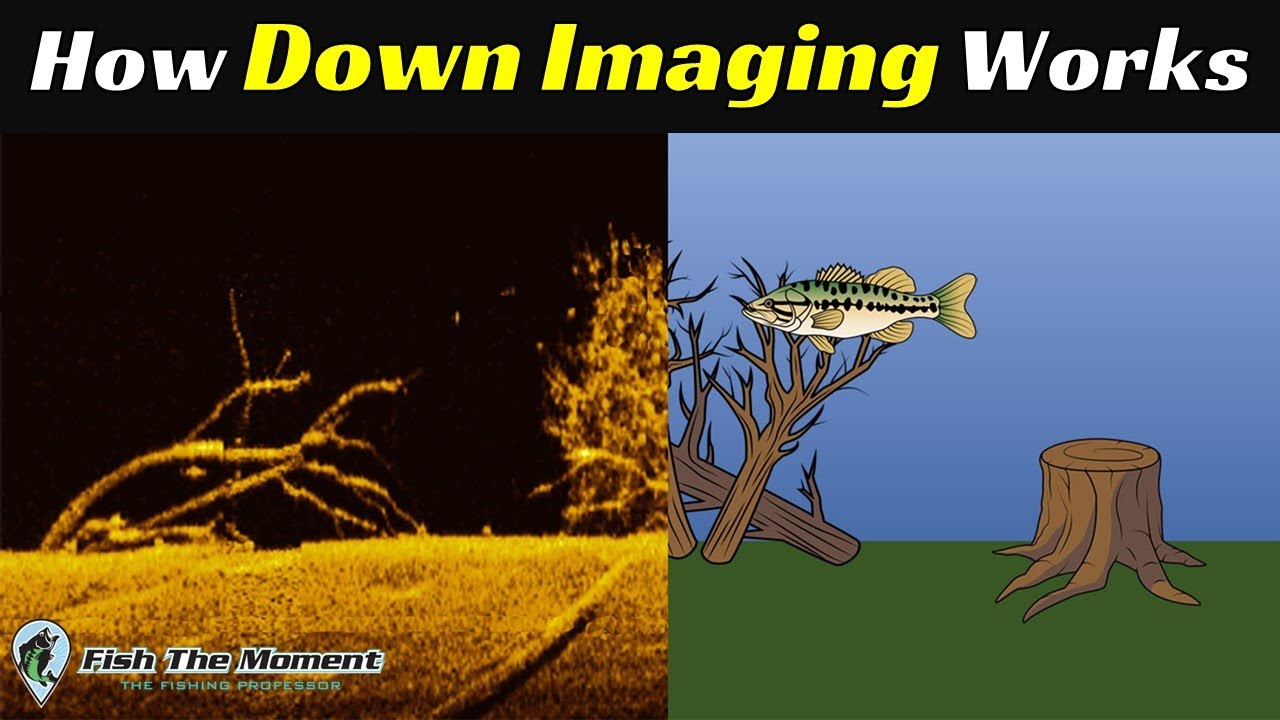 ПОСЛЕДНЕЕ объяснение Down Imaging, которое вам когда-либо понадобится | Инструкция по использован...
