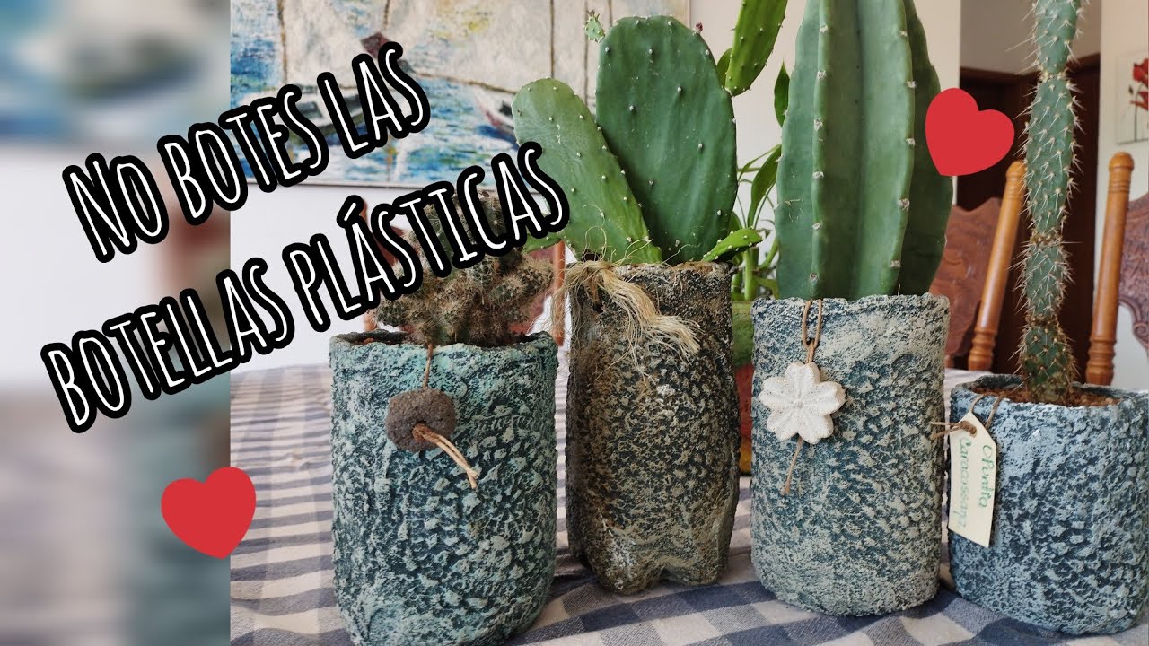 Macetas de cemento con botellas plásticas ♻️ con lindas texturas.