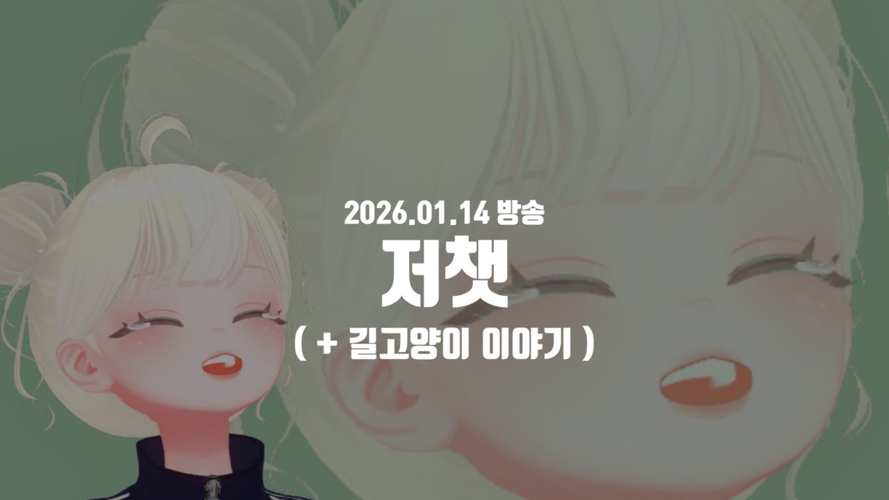 260114ㅣ(감기) 저챗, 길고양이 이야기