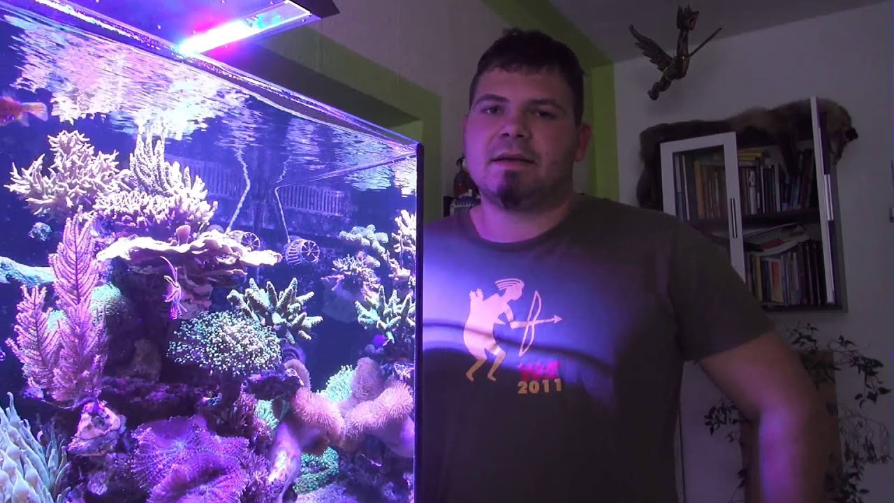 Aqua Medic Cubicus special- ein Jahr Meer...