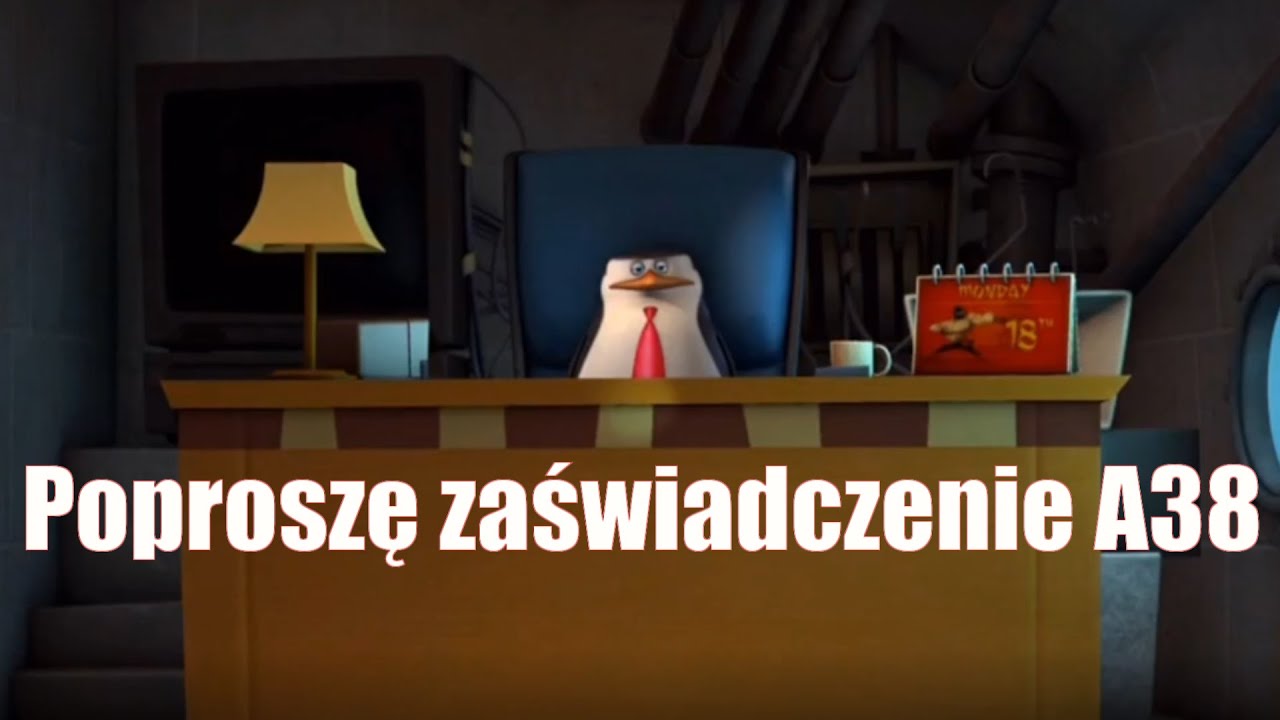 POLSKA BIUROKRACJA W PIGUŁCE