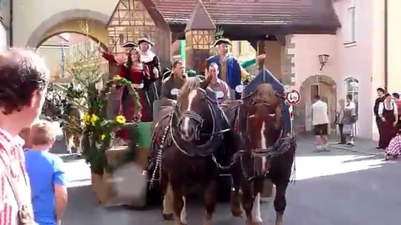 Mooswiese 2014 Umzug Teil 1