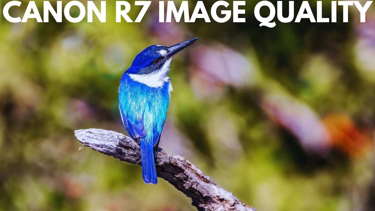 Canon R7 📸 Sample Photography - Image Quality