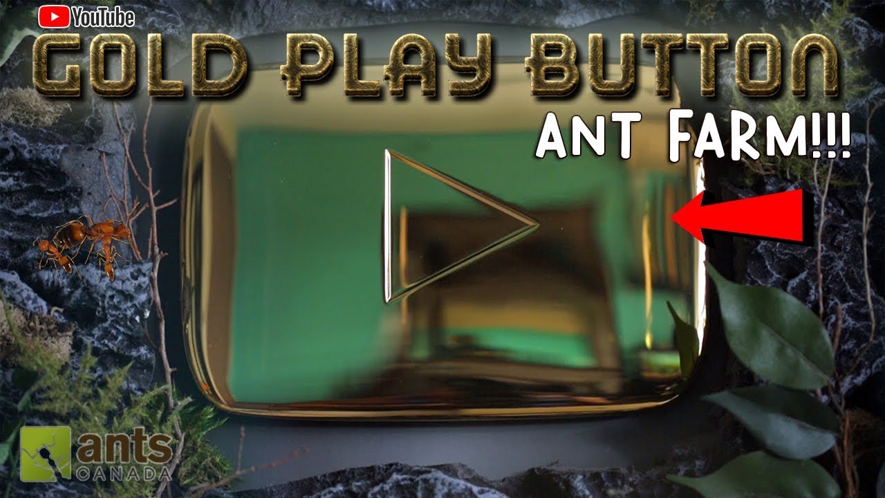 Turning My Youtube Gold Play Button Into an Ant Farm