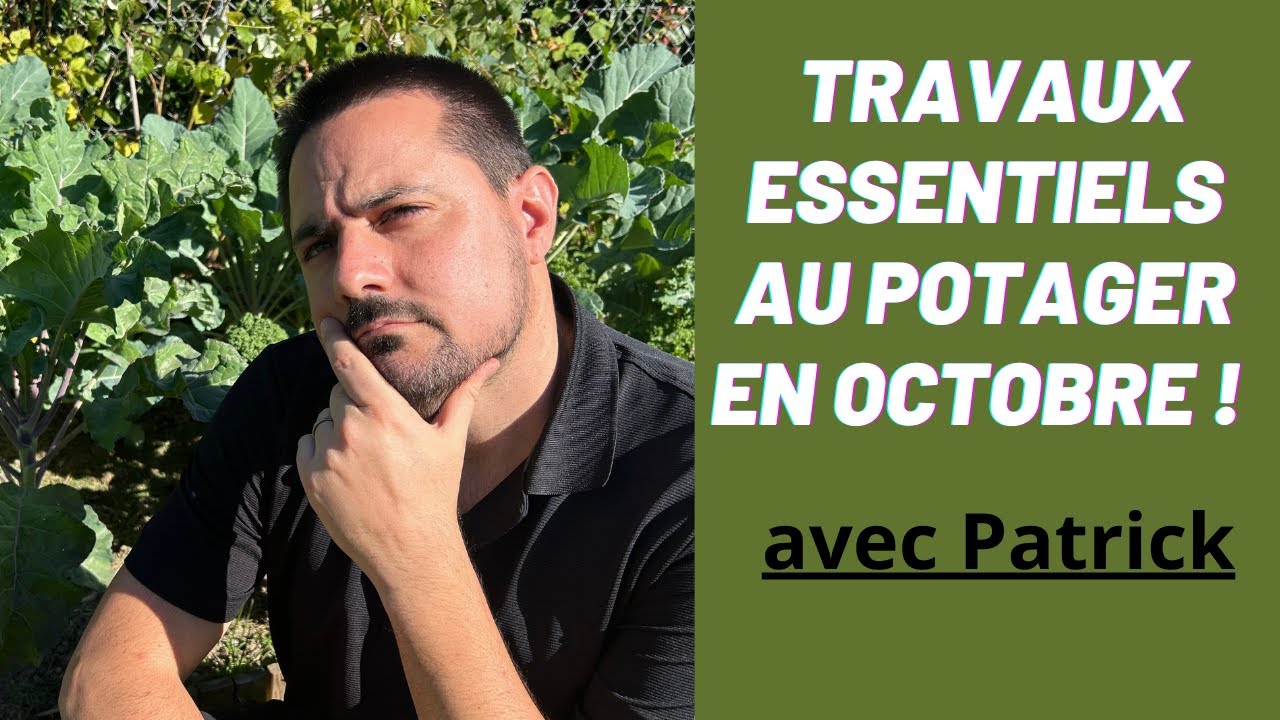 Que Faire au Potager en Octobre ? Conseils et Travaux du Mois !