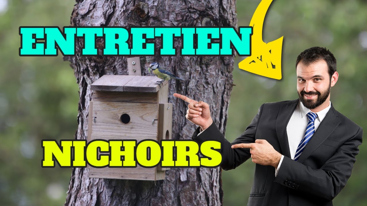 Nettoyage nichoir oiseaux : à faire tout les ans !