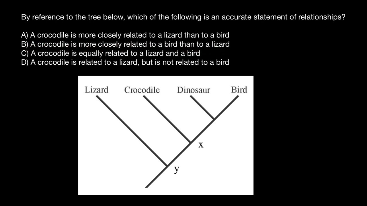 How to Solve Phylogenic Tree Questions Under 10 Seconds