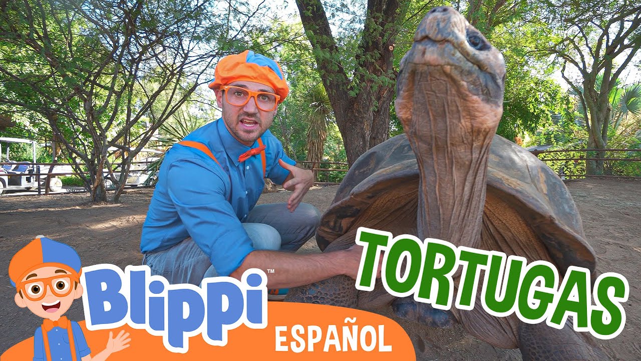 Blippi visita el zoológico y aprende sobre tortugas | Blippi Español | Videos educativos para niños