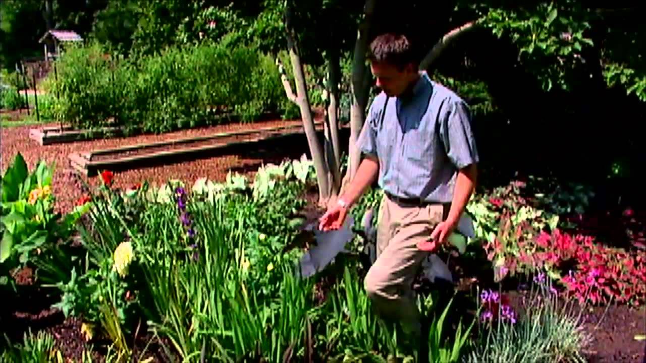 Summer Bulb Garden
