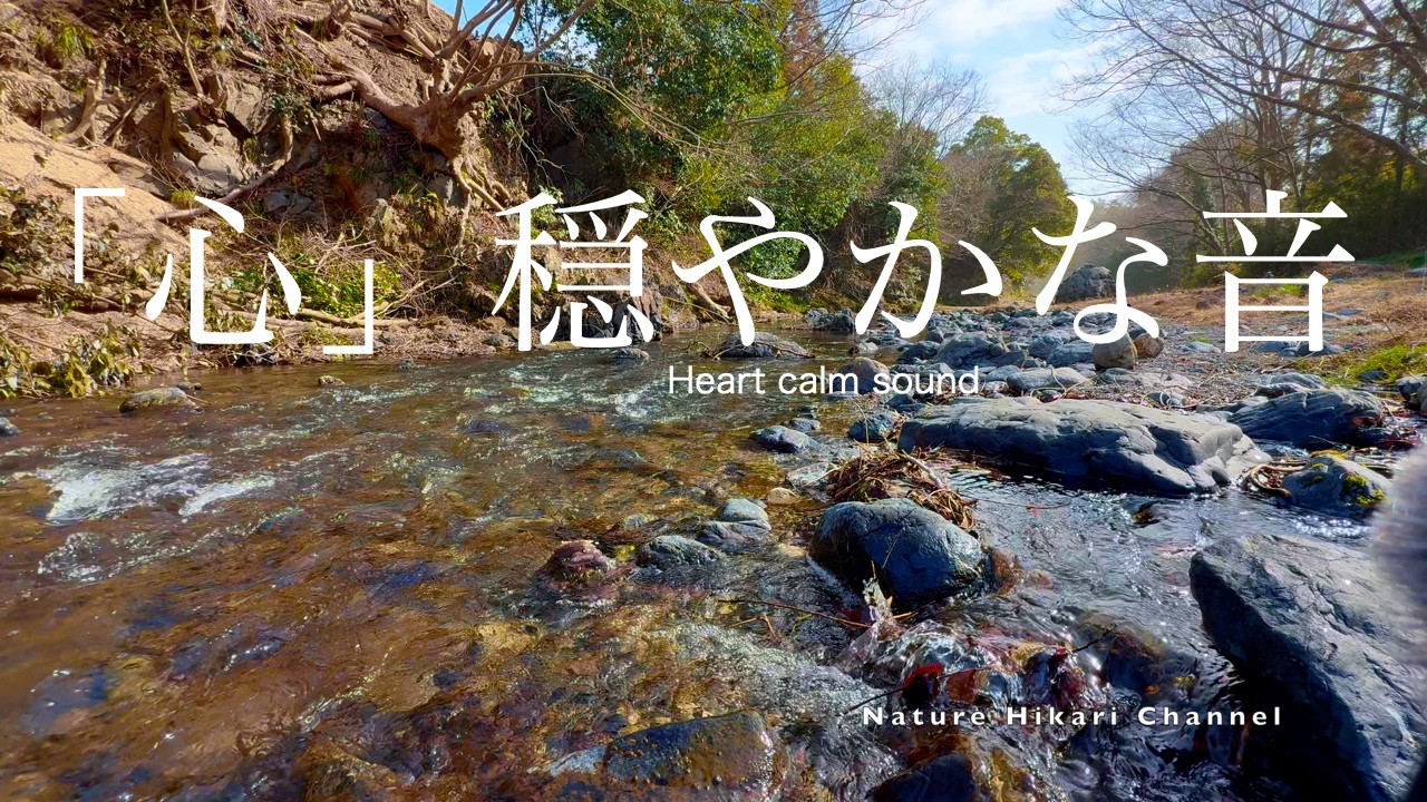 【日本の麗しい自然】【春】【432Hz Bgm、川、木々、優しい日差し】