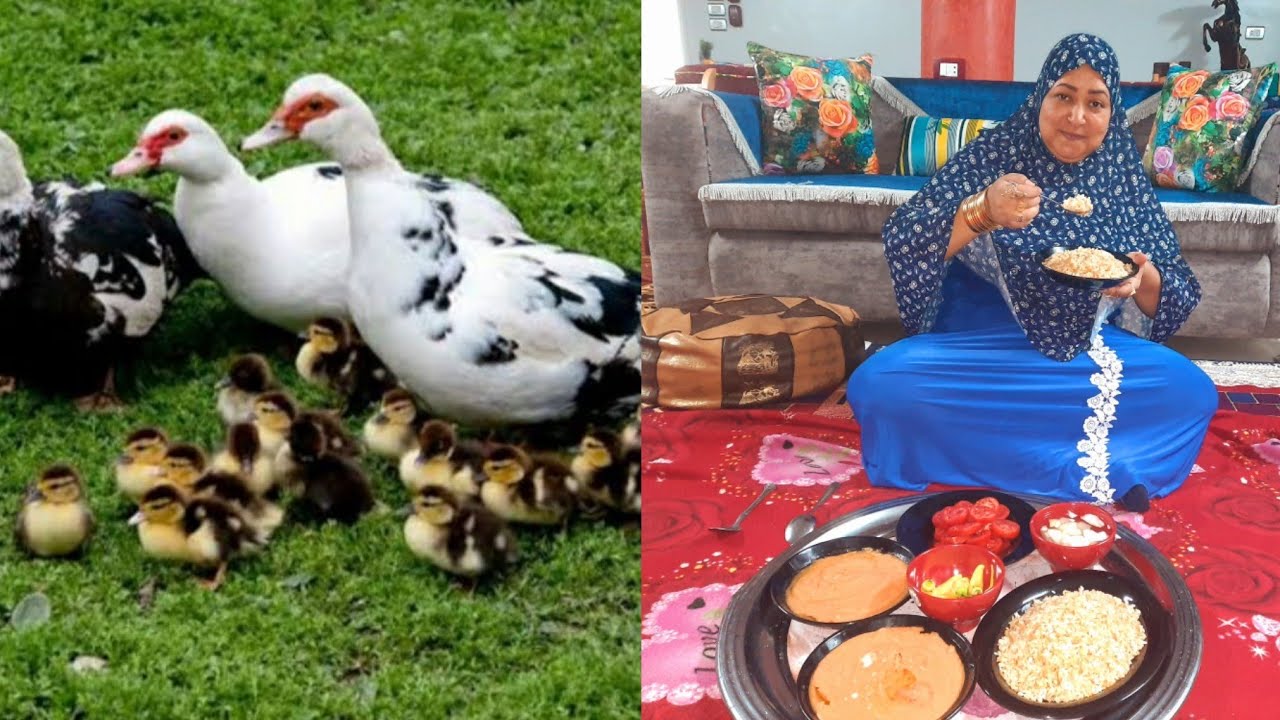 رغم اختلاف الجو والتعب الي بنمر بيه اولادي وطيوري لازم احميهم 🤭🤭