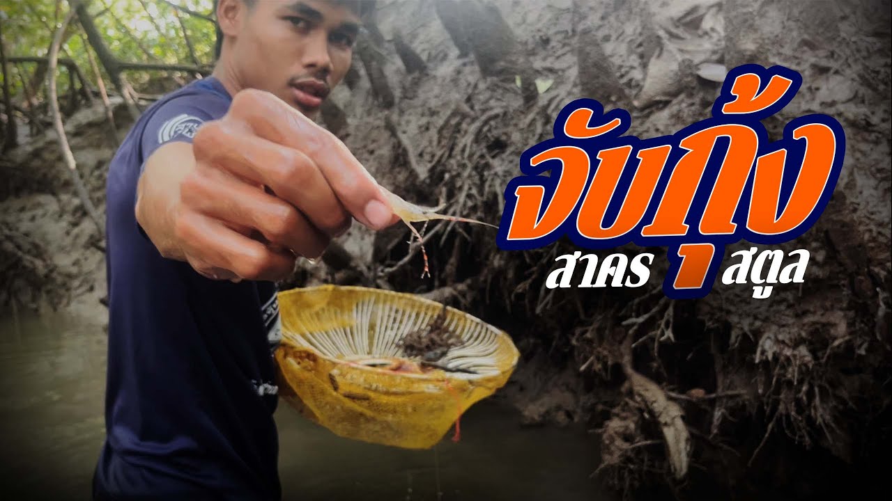 จับกุ้งเป็น ๆ ในคลอง  พรานทะเล EP.12