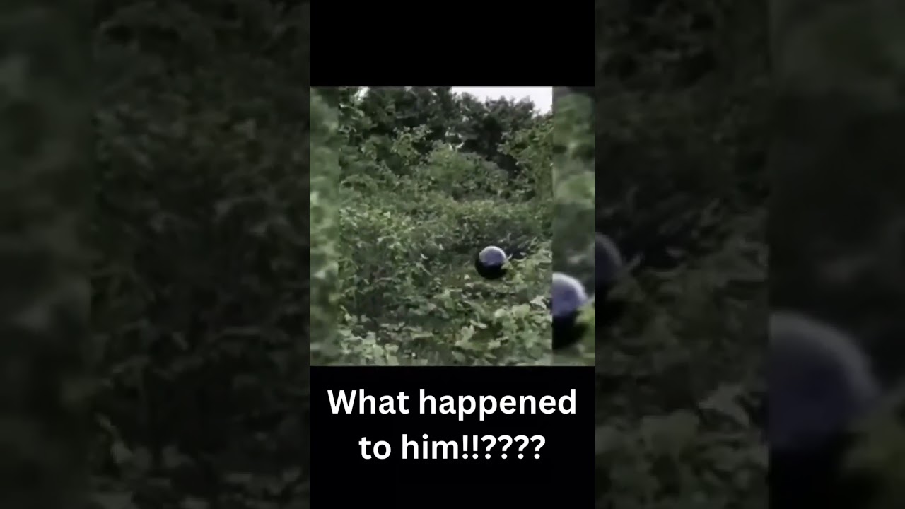Alien sphere chases man! Real ufo evidence! 