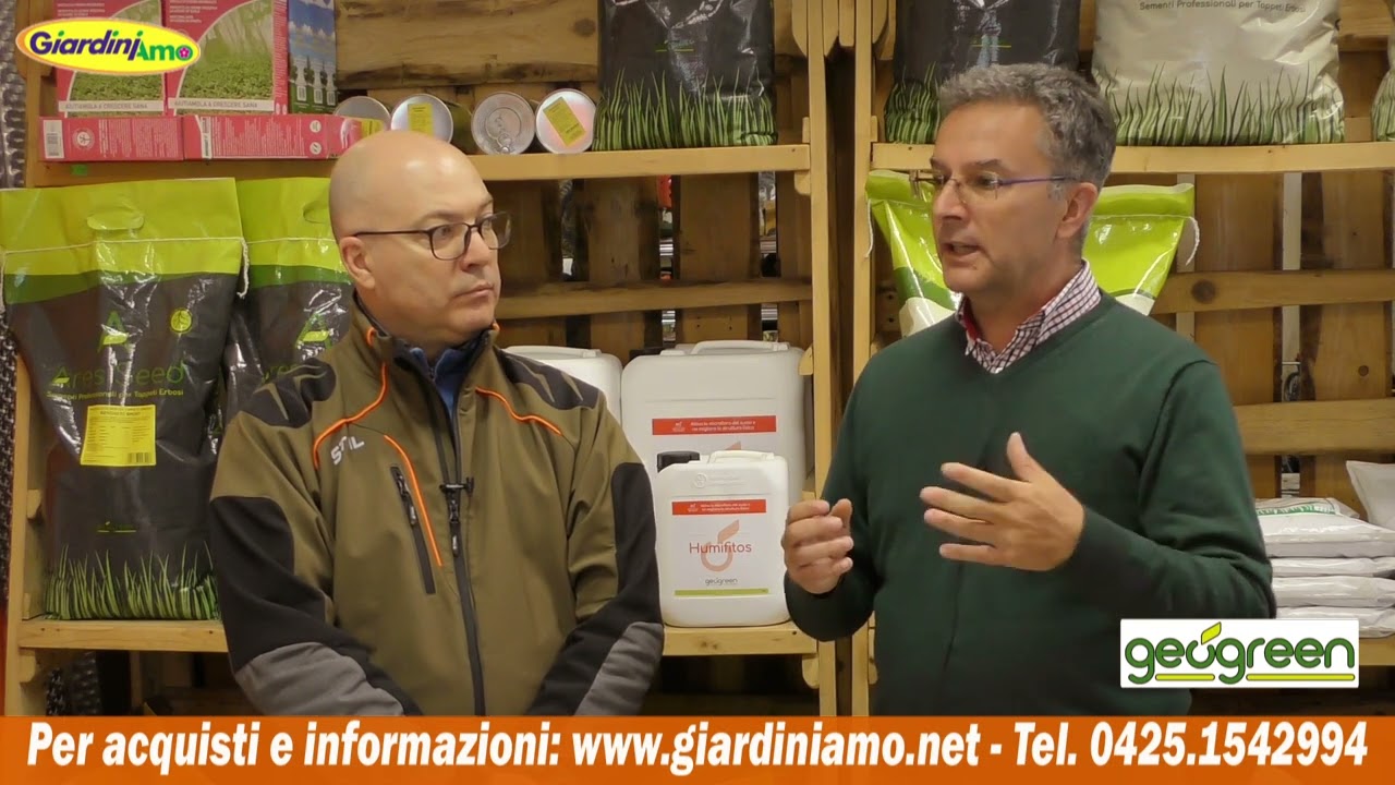 Come scegliere il mix di semi per il prato: le diverse specie di erba e le loro caratteristiche