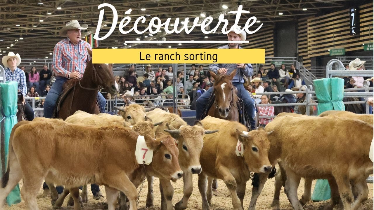 [DÉCOUVERTE] Le ranch sorting