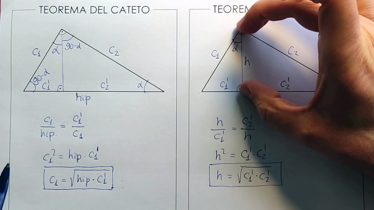 Teoremas del Cateto y de la Altura.