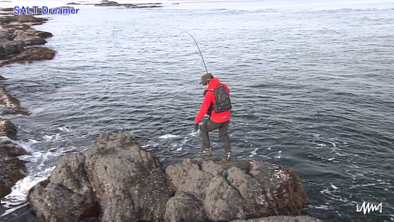 #046 長崎県・対馬　ヒラマサ