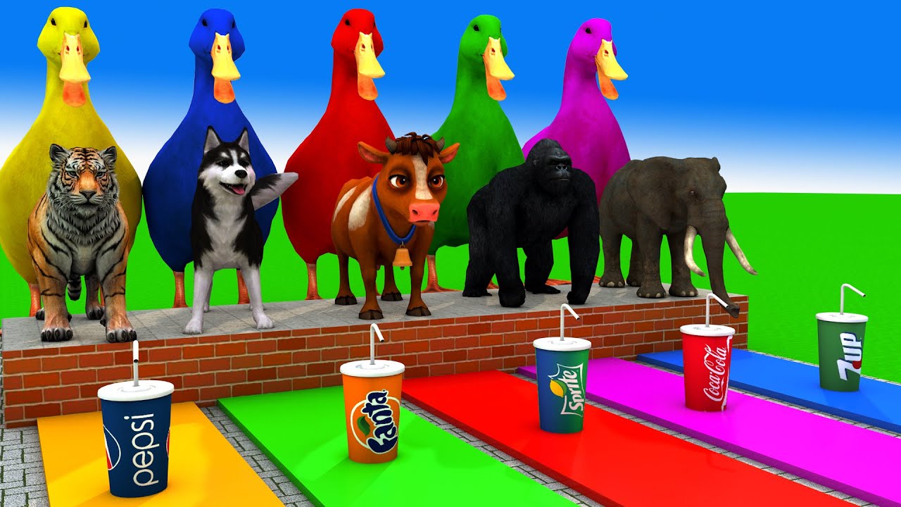 Long Slide Game With Cow Elephant Gorilla Hippopotamus Tiger 3d Animal Game Funny 3d Animals