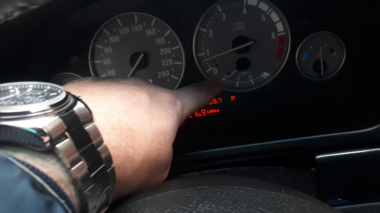 Bmw e39 inpa