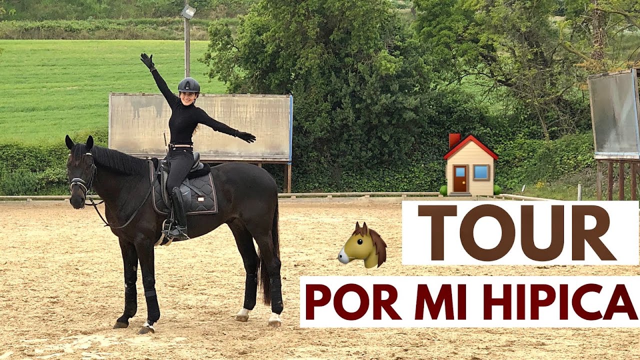 Tour por mi Hípica 🏡🐴