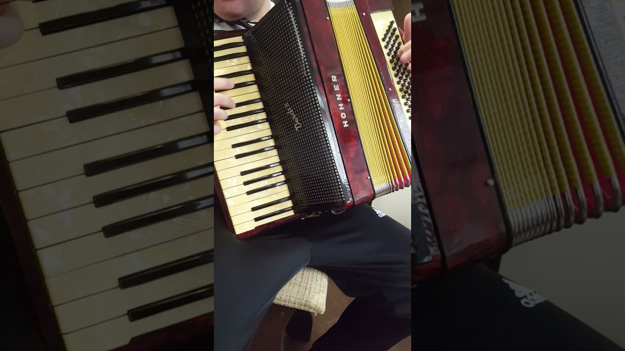 Razvan Alexandru -Proba Hohner Verdi II ,Vasile Pandelescu -Hora la trei de la Titu