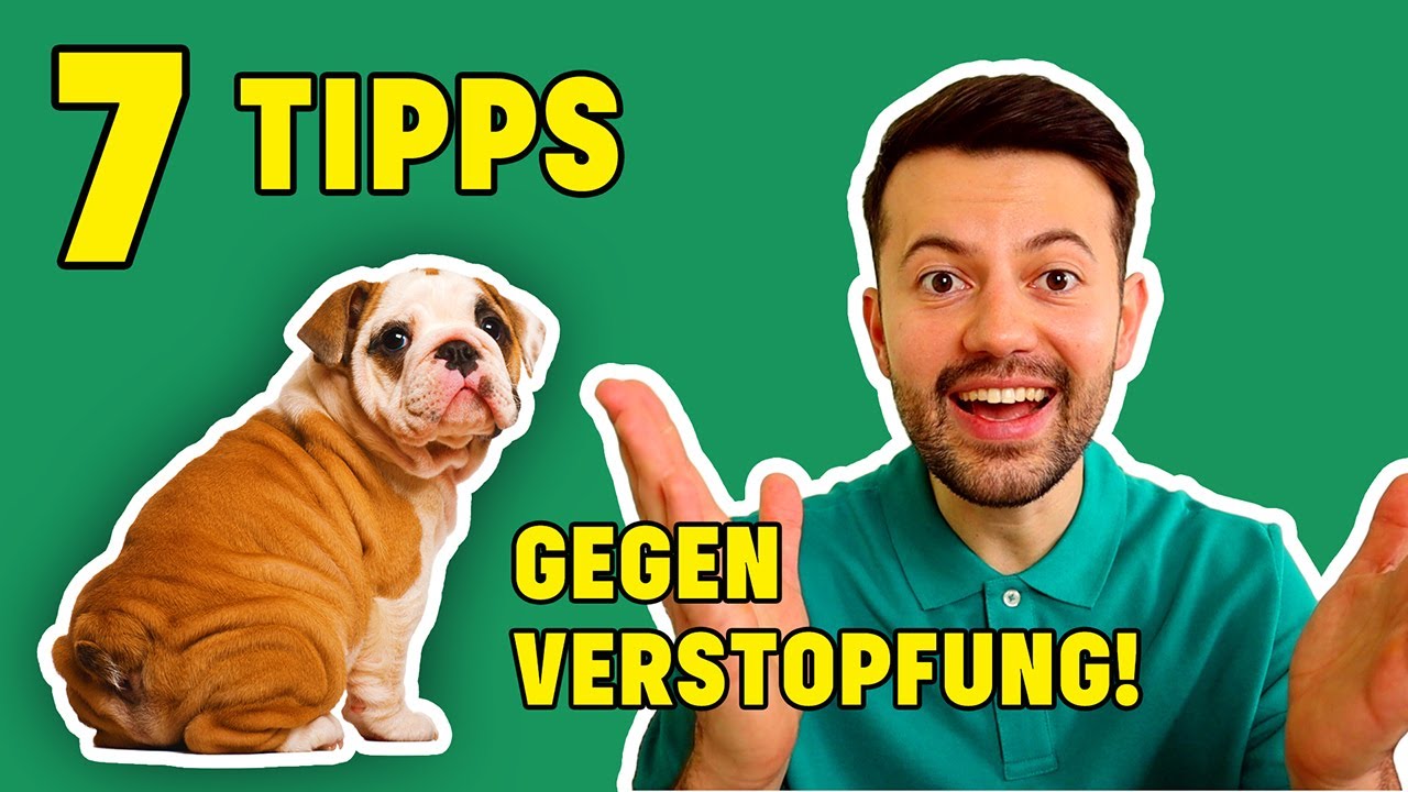 Hund hat Verstopfung: erkennen & behandeln (Tierarzt klärt auf)