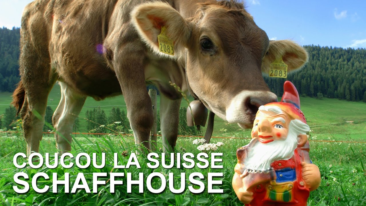 Coucou la Suisse : Schaffhouse, les Chutes du Rhin et l'enclave allemande de Büsingen