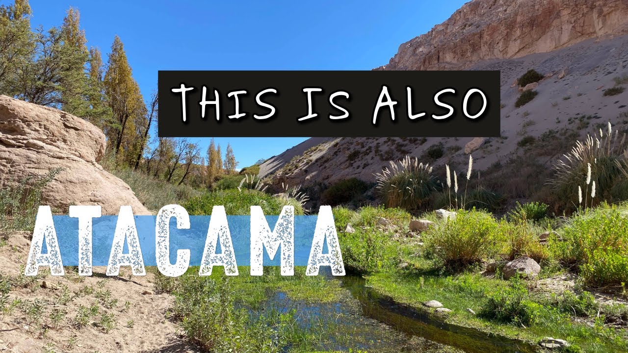 Atacama's biggest surprise? | Secret & crowd-free oasis in the desert