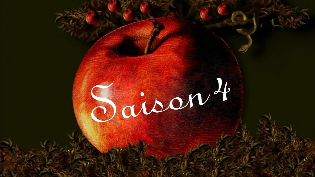 Desperate Housewives - Saison 4