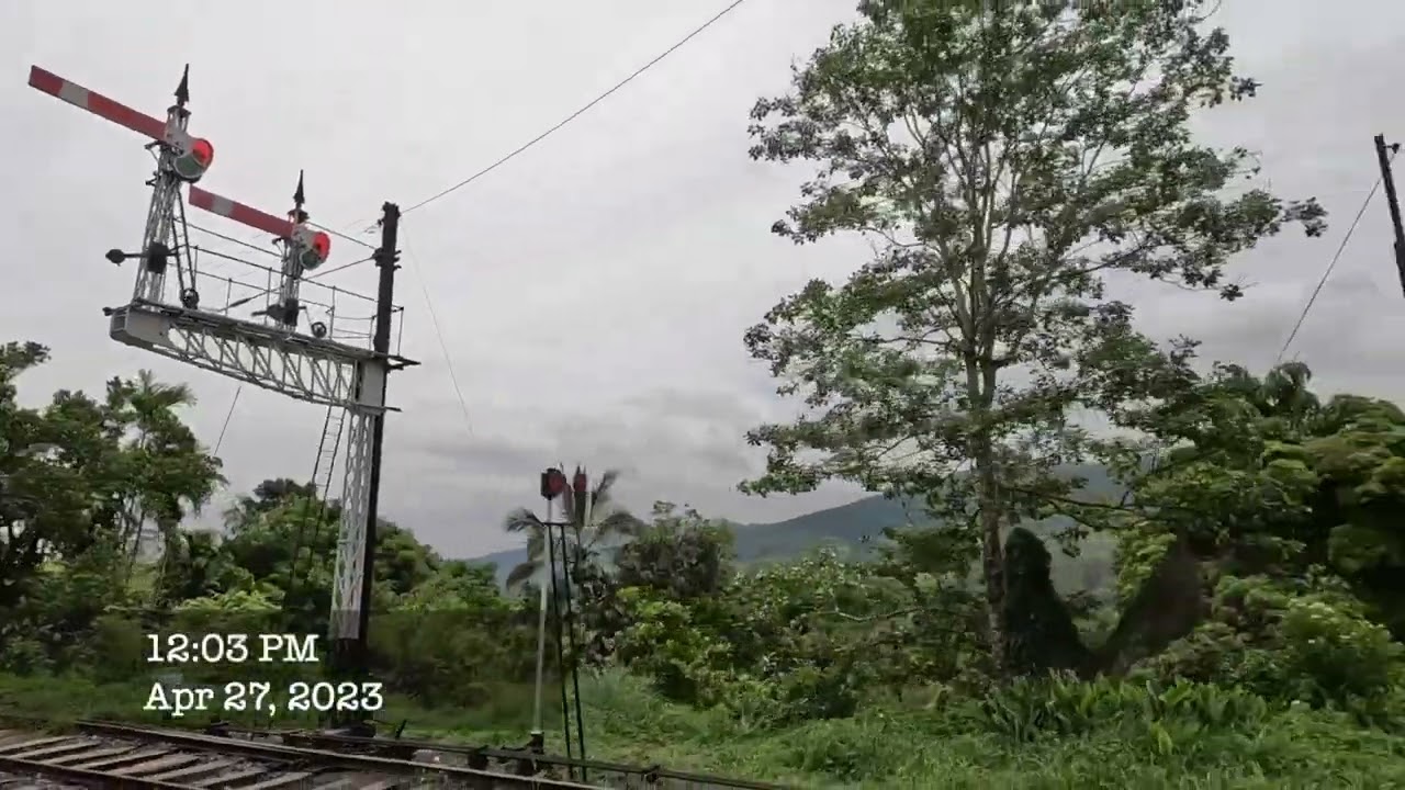 🇱🇰Beautiful scenery - Hatton to Colombo on Udarata Menike #travel #train #railwaystation #trainride